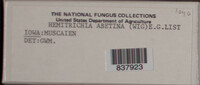 Image Associated With the Occurence